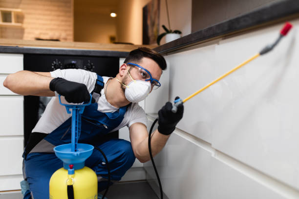 Best Wasp Removal Services  in Half Moon Bay, CA
