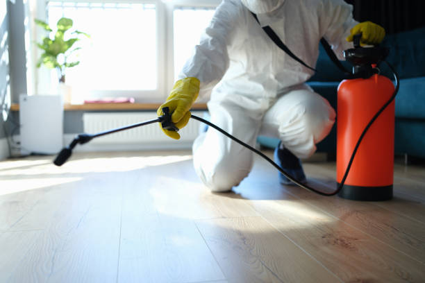 Insect Control in Half Moon Bay, CA