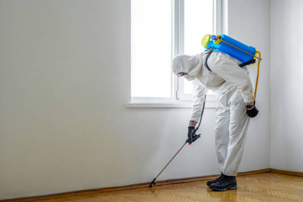 Best Pest Removal Services  in Half Moon Bay, CA