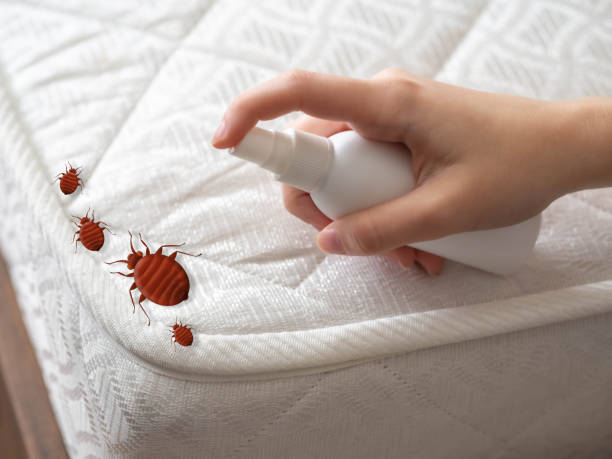 Best Exterminator Services  in Half Moon Bay, CA