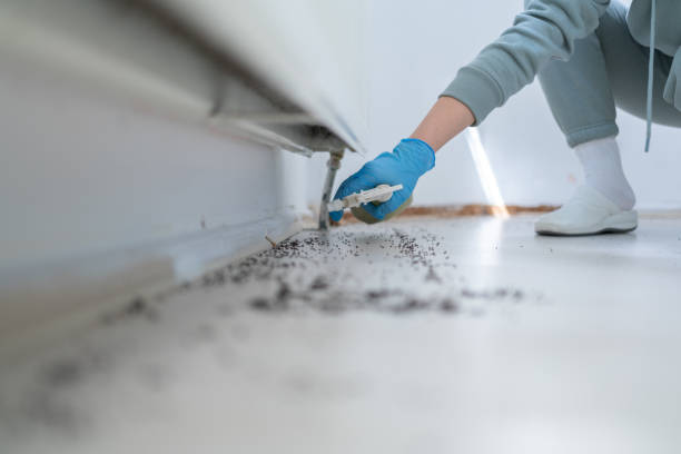 Best Termite Control Services  in Half Moon Bay, CA